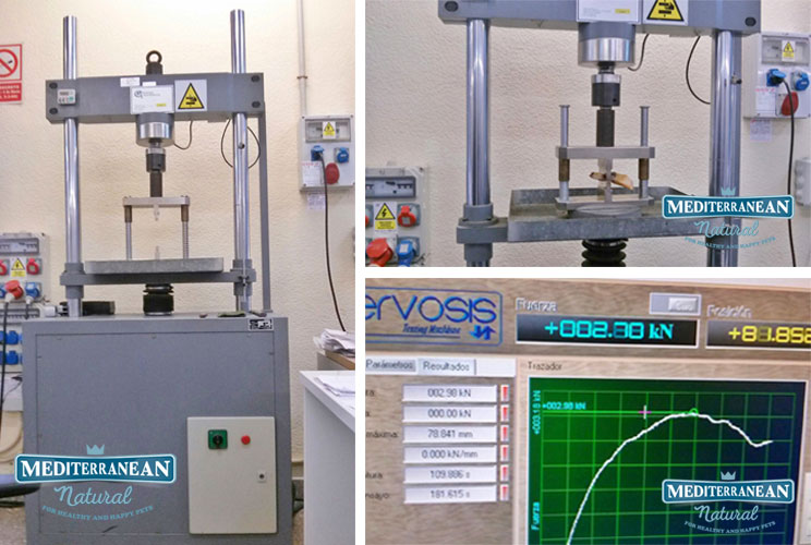 Resistencia de los huesos de jamón a la fuerza de mordida de los perros: minimizamos el astillamiento