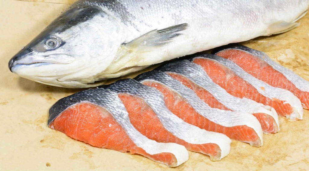 Snacks y golosinas para perros de pescado fresco (salmón y atún). Fresh fish (salmon and tuna fish) treats for dogs