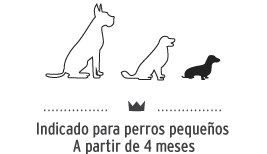 Snacks para perros de tamaño pequeño. Dog snacks for small breeds.