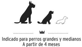 Snacks para perros de tamaño mediano y grande. Dog snacks for medium and big breeds.