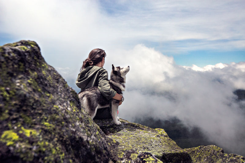 Actividades de ocio con perros para el fin de semana
