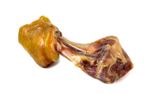 Dogs have ham best sale bones