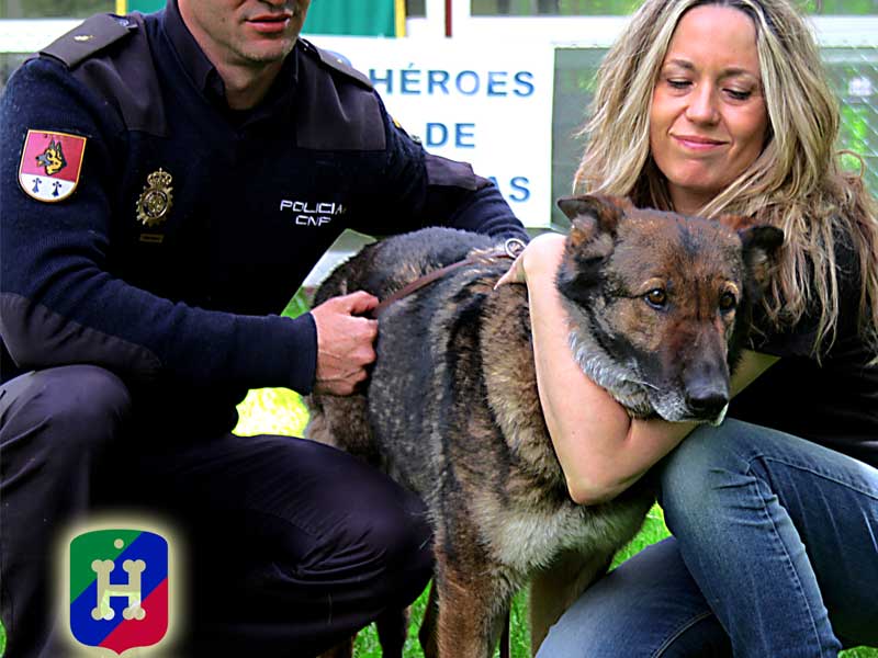 Héroes de 4 Patas, la ONG que promueve la adopción de perros jubilados de las Unidades Caninas de los Cuerpos de Seguridad.