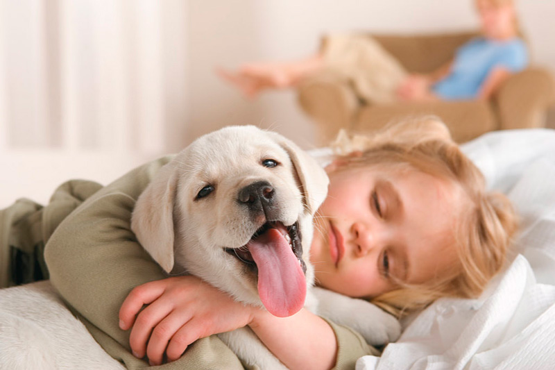 8 razones por las que un niño debe tener un perro en casa