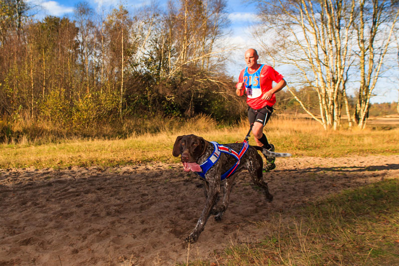 Canicross: deporte con perro