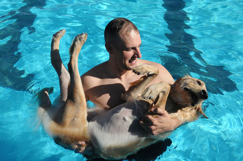 Actividades con perro en verano