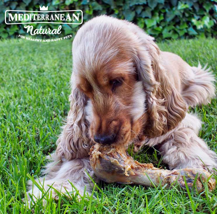 Cómo se fabrican los huesos para perros: Ham Bones de Mediterranean Natural