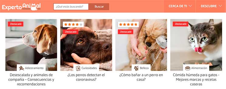 10 blogs sobre perros que debes seguir