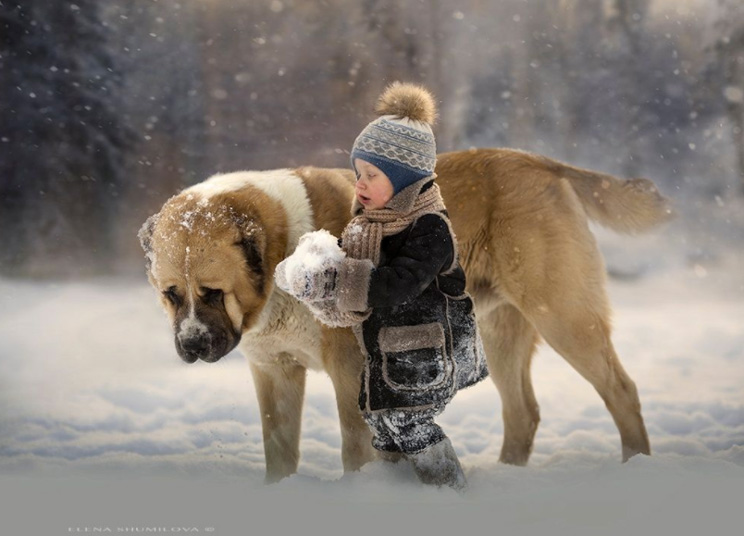 Elena Shumilova: fotografías invernales que te transportan a un mundo mágico
