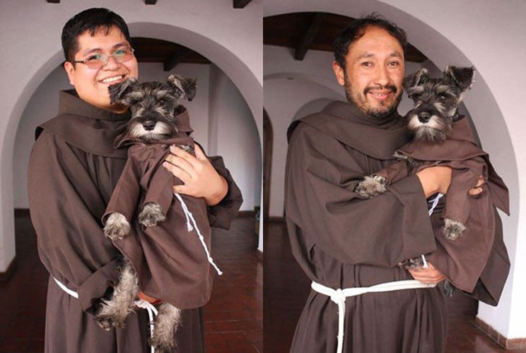 Fray Bigotón: de perro callejero a monje franciscano