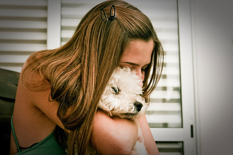 Wizapet: la aplicación para encontrar mascotas perdidas