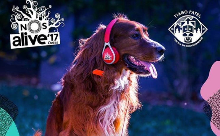 Los perros son bienvenidos en los festivales de música