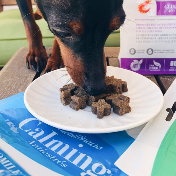 Audrey The Pinscher y Functional Snacks de Mediterranean Natural