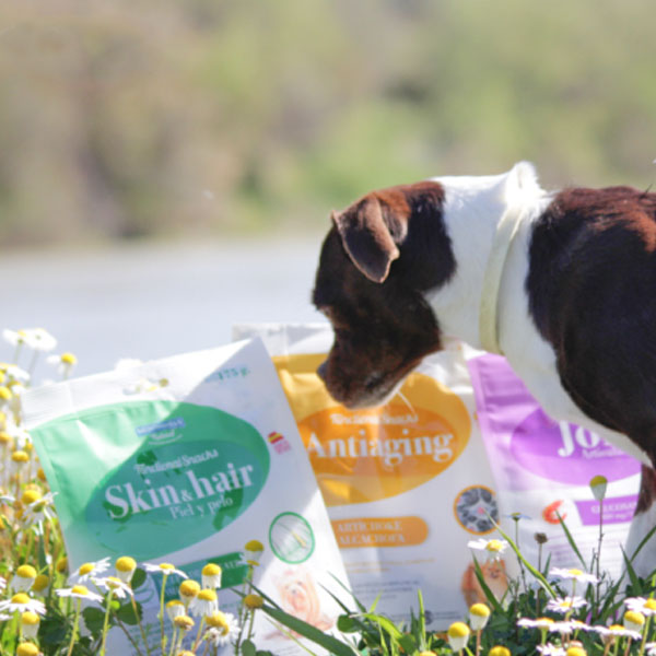 Cuatro Patas Web y Functional Snacks para perros de Mediterranean Natural