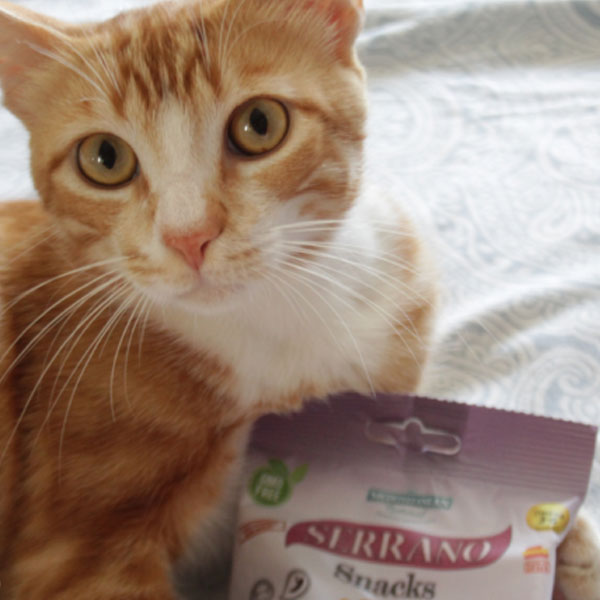 Cuatro Patas Web y Serrano Snacks para gatos de Mediterranean Natural