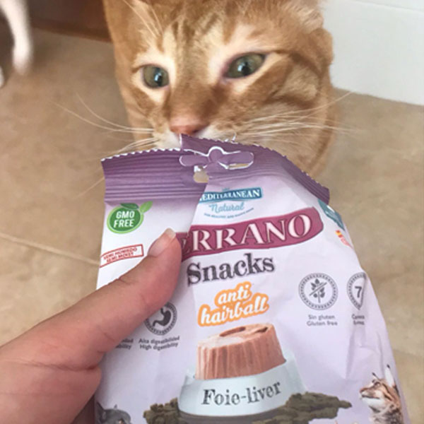 El Gato de la Taza de Té y Serrano Snacks para gatos