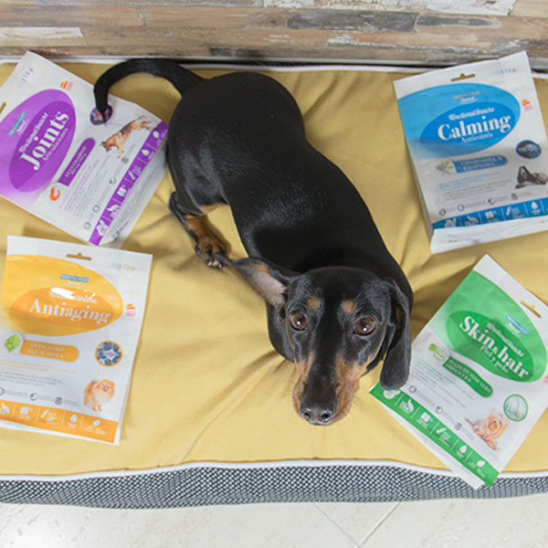 Elma Ladra Blog y Functional Snacks de Mediterranean Natural para perros