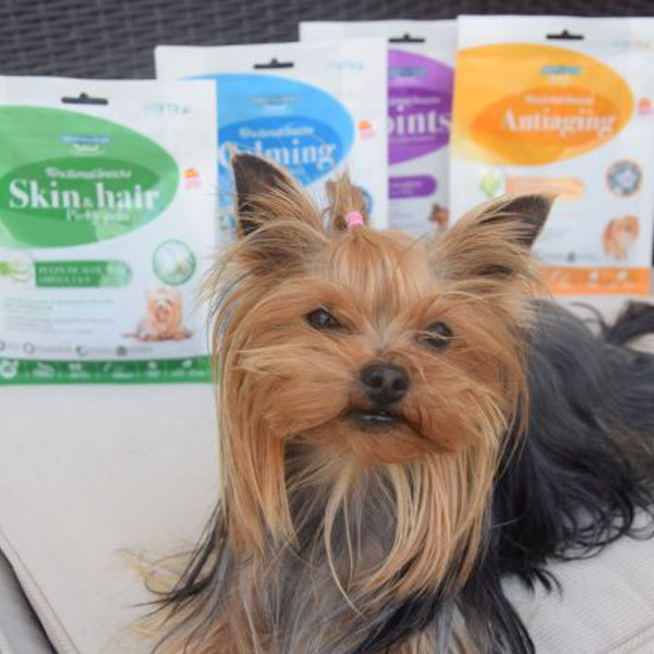 Karim Yorkie y Functional Snacks para perros de Mediterranean Natural