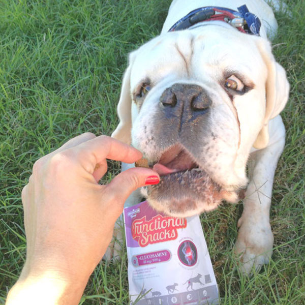 Sitandplas y Functional Snacks articulaciones para perros de Mediterranean Natural