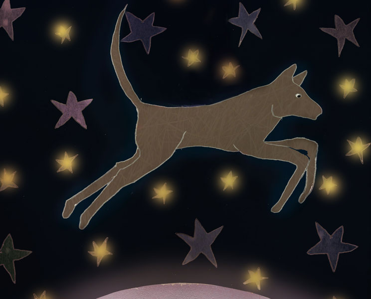 Leyenda cherokee: El perro y la Vía Láctea