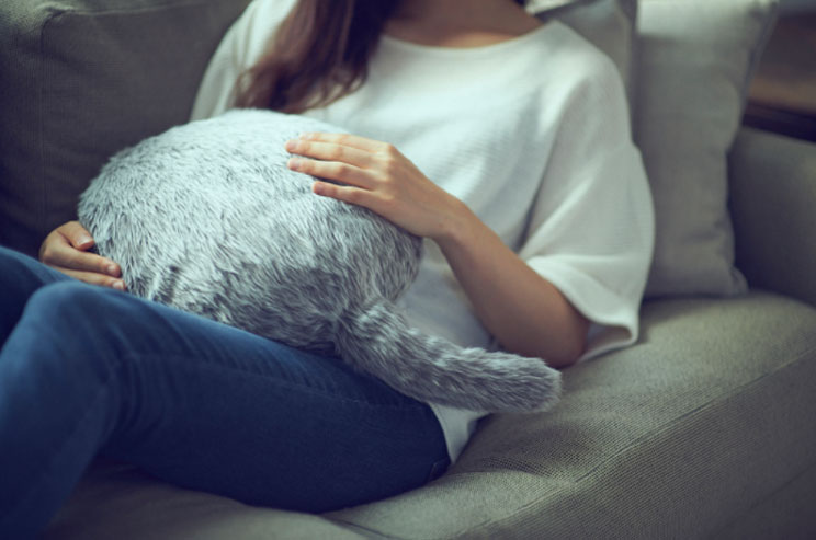 Qoobo: la mascota antiestrés con cola y sin cabeza