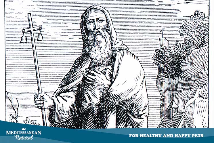 ¿Quién fue San Antón? ¿Por qué es el patrón de los animales?