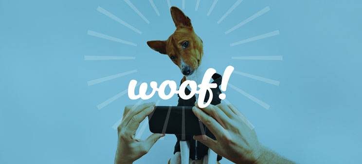 Woff! Testimonials about snacks and food for pets of Mediterranean Natural