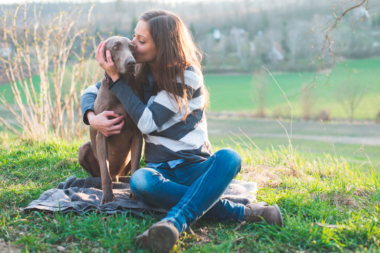 Cuáles son y cómo cubrir las necesidades de tu perro