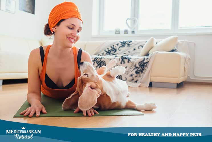 Doga: Cómo practicar yoga con tu perro
