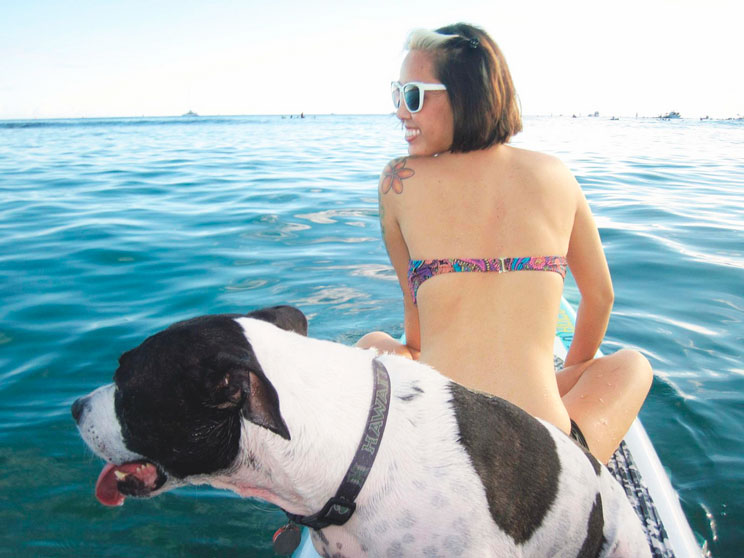 Paddle Surf: una divertida actividad acuática para practicar con perro