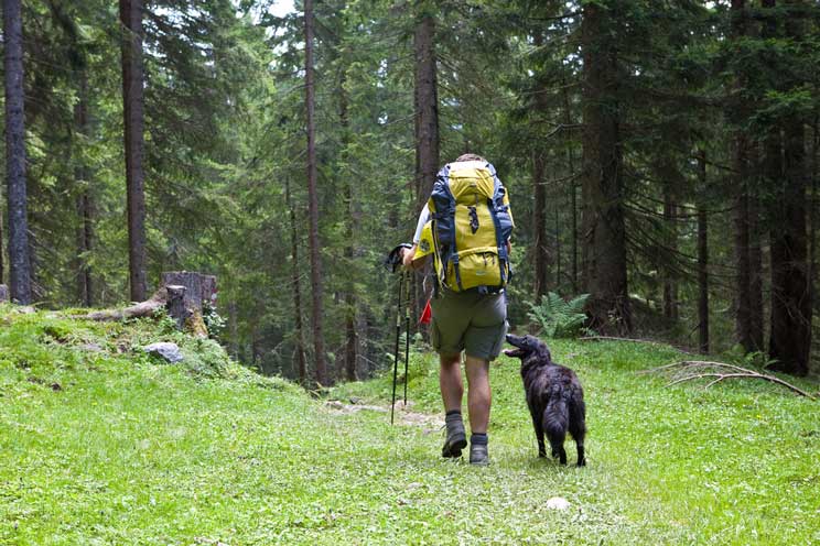10 consejos para practicar senderismo con tu perro