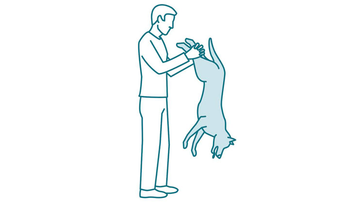 Que-hacer-si-mi-perro-se-atraganta-y-no-respira-maniobra-Heimlich-1
