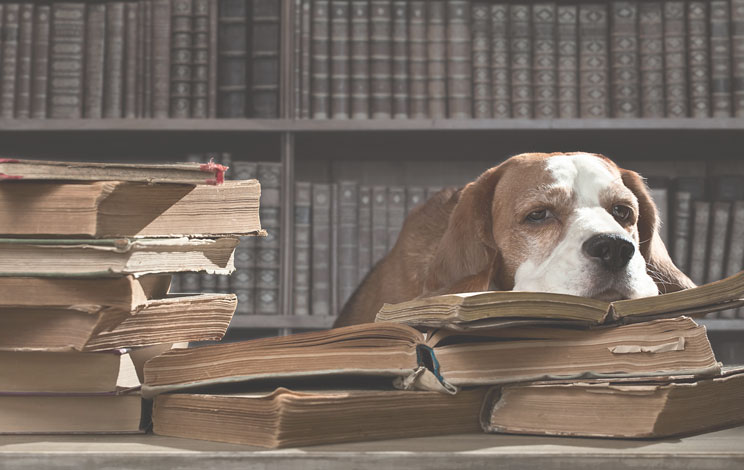 Charles Dickens: sus perros y su presencia en sus obras