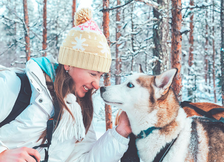 Mushing: Origen, práctica y características