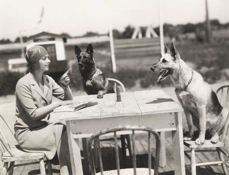 Rin Tin Tin: el perro más famoso de la historia de Hollywood