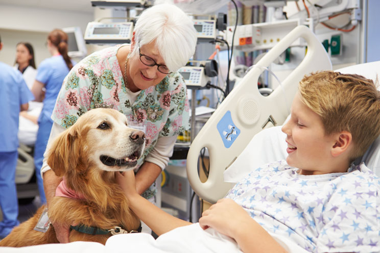 'Demostrado! La terapia con perros reduce el dolor y la ansiedad en niños hospitalizados