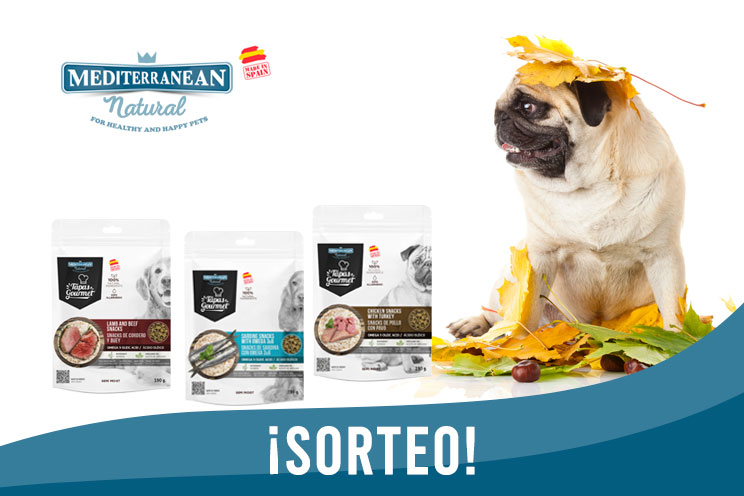 Sorteo de otoño: ¡Llévate gratis nuestras Tapas Gourmet para perros!