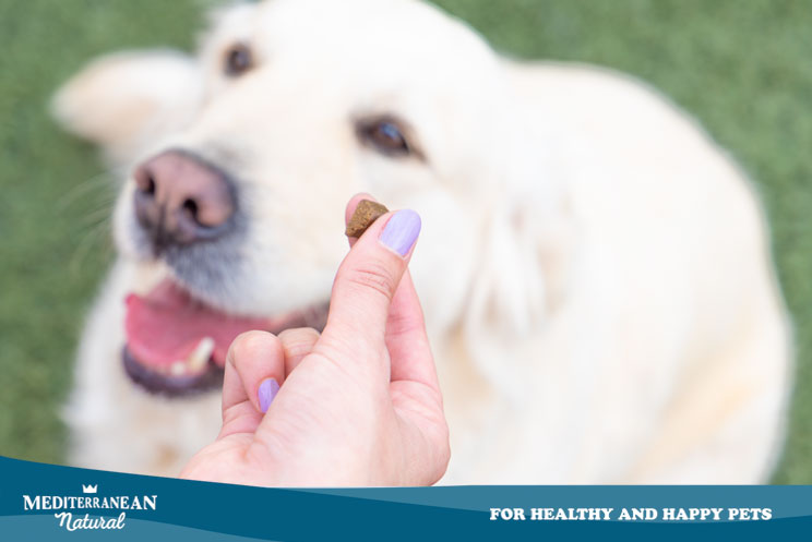 Snacks naturales para perros fabricados en España