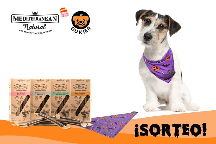 Sorteo de Halloween: ¡Llévate gratis nuestra Barrita y esta bandana para tu perro!