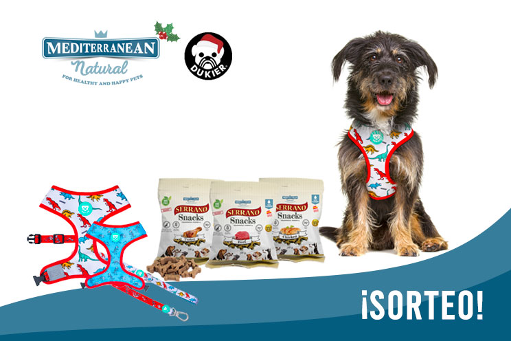 Sorteo de Navidad: ¡Llévate gratis nuestros Serrano Snacks y este arnés y correa para tu perro!