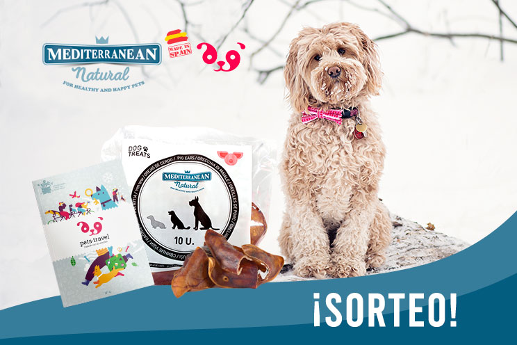 Sorteo: ¡Llévate gratis una bolsa de orejas de cerdo y una guía para viajar con tu perro!