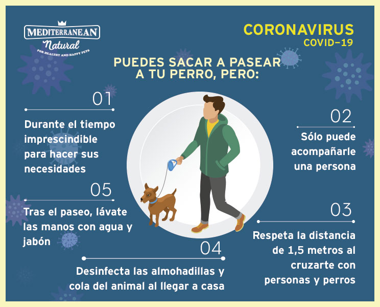 Pandemia coronavirus COVID-19 ¿Puedo pasear a mi perro?