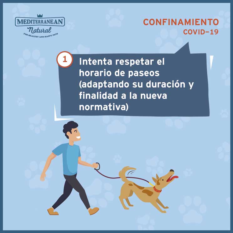 9 consejos para ayudar a tu perro a sobrellevar el confinamiento