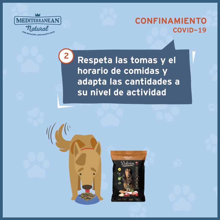 9 consejos para ayudar a tu perro a sobrellevar el confinamiento