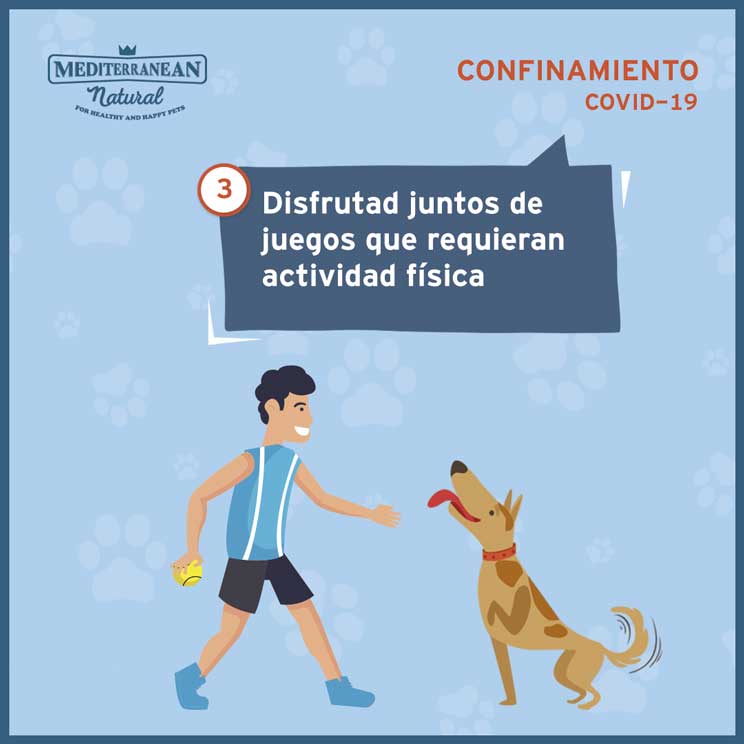 9 consejos para ayudar a tu perro a sobrellevar el confinamiento