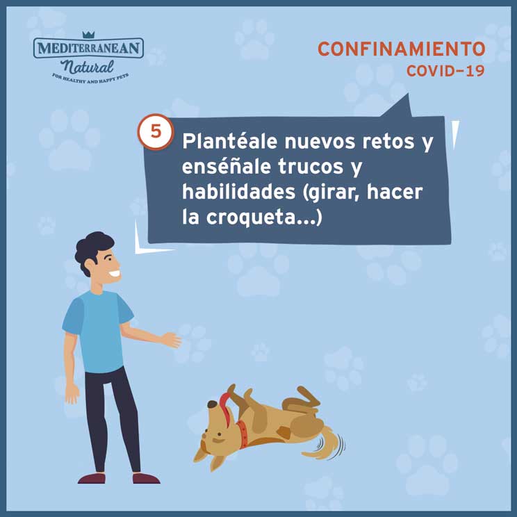 9 consejos para ayudar a tu perro a sobrellevar el confinamiento