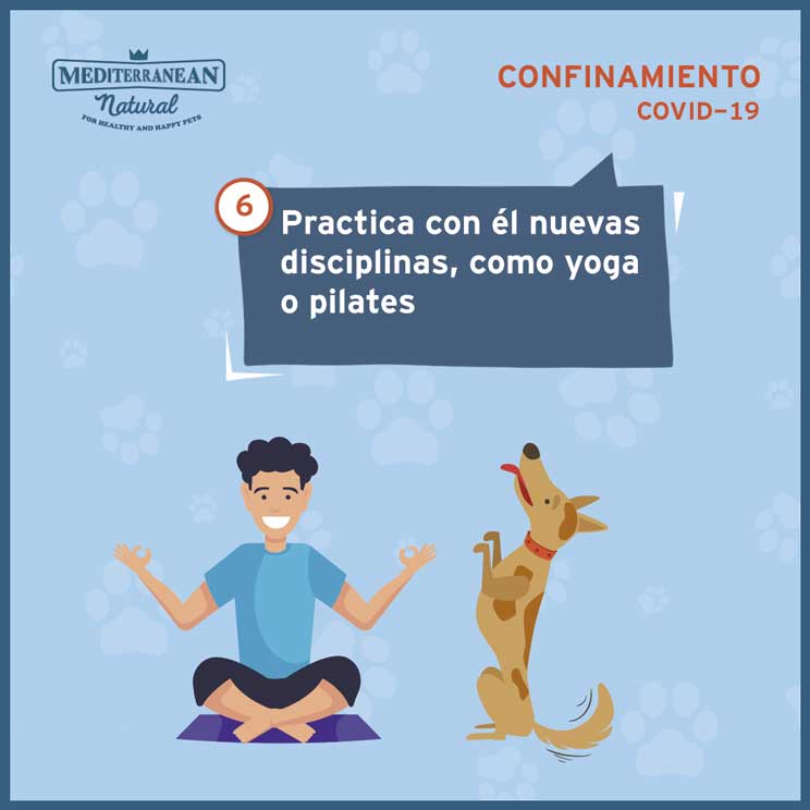 9 consejos para ayudar a tu perro a sobrellevar el confinamiento