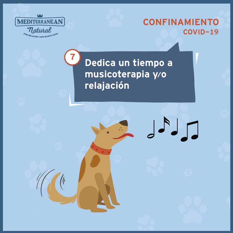 9 consejos para ayudar a tu perro a sobrellevar el confinamiento