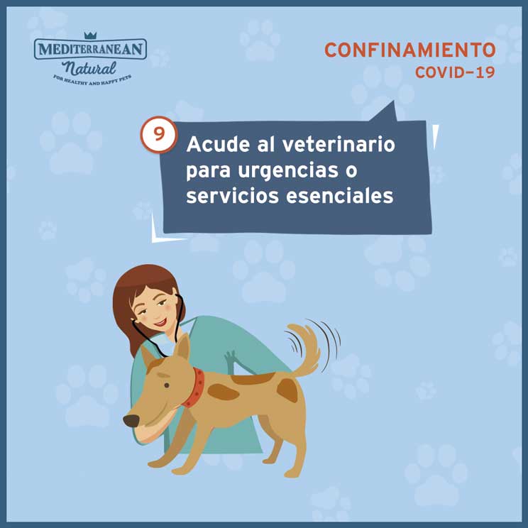 9 consejos para ayudar a tu perro a sobrellevar el confinamiento