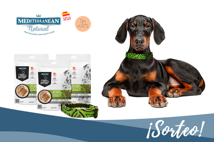 Sorteo: Llévate gratis nuestras Tapas Gourmet de pato y este collar para tu perro